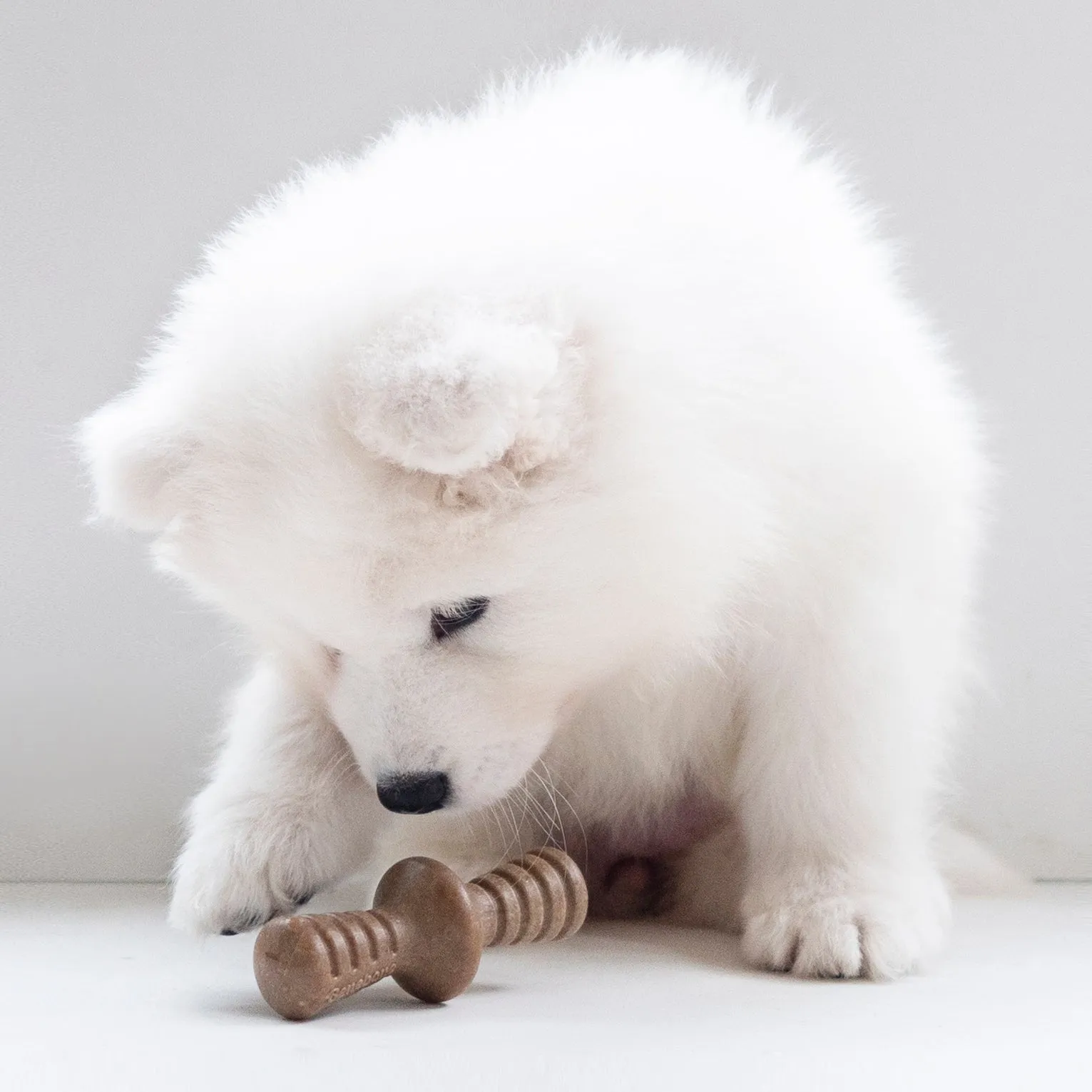 Benebone Maplestick And Zaggler Bacon Puppy Toy 2 Pack