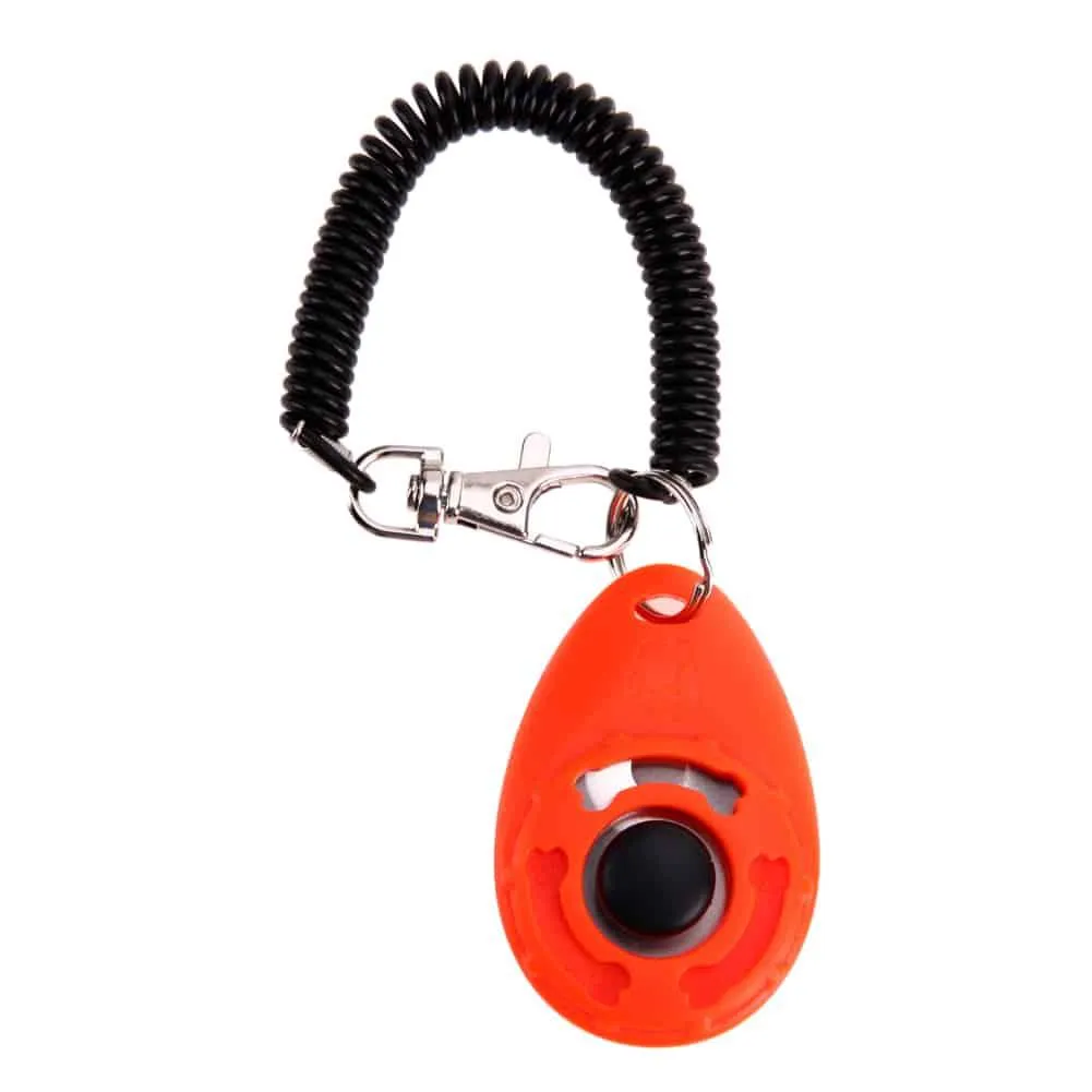 Dog Clicker Training Tool with Wrist Strap