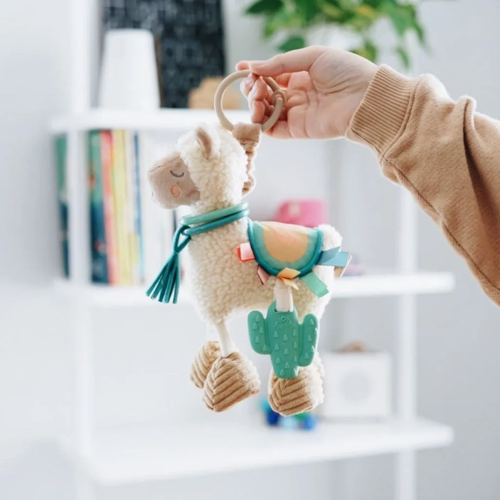 Link & Love™ Teething Activity Toy